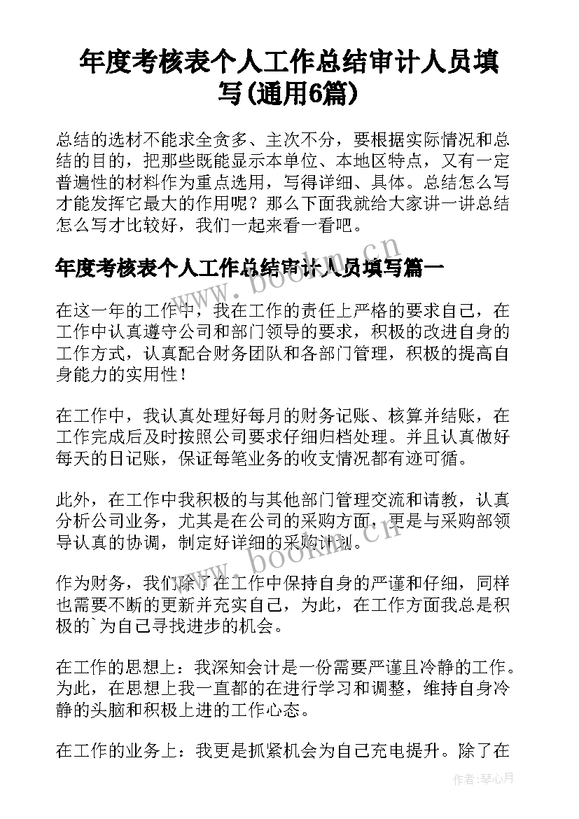 年度考核表个人工作总结审计人员填写(通用6篇)