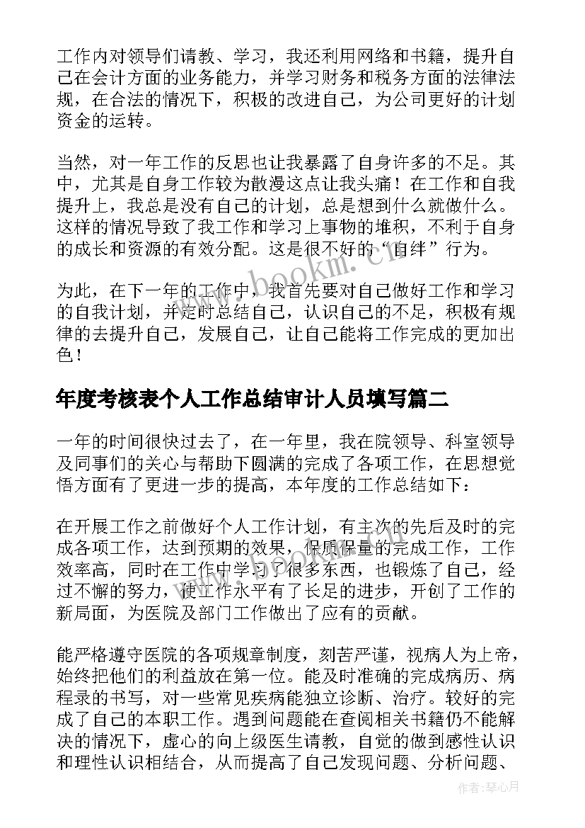 年度考核表个人工作总结审计人员填写(通用6篇)