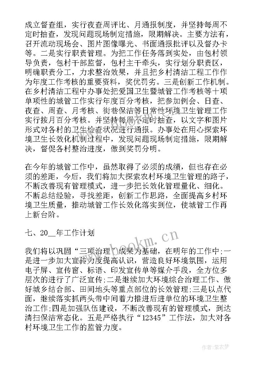 最新城管工作个人总结报告 城管个人的工作总结(优质9篇)