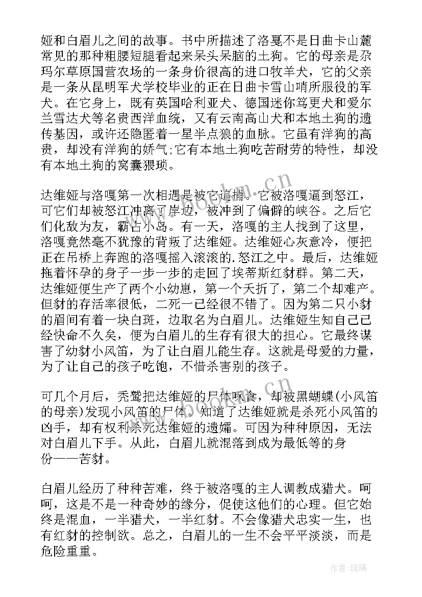 2023年双面猎犬读后感 双面猎犬读书心得(实用5篇)