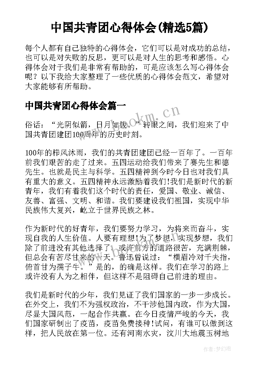 中国共青团心得体会(精选5篇)