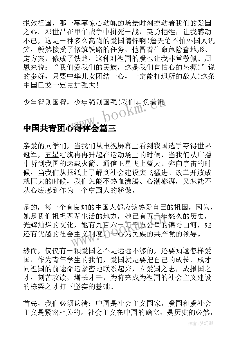 中国共青团心得体会(精选5篇)