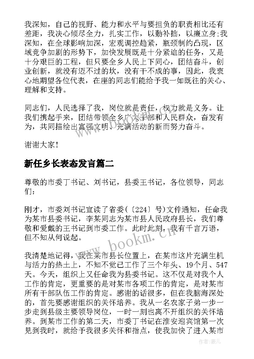 新任乡长表态发言 新任副乡长任职表态发言稿(优秀5篇)