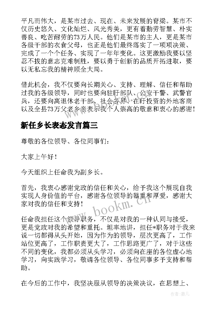 新任乡长表态发言 新任副乡长任职表态发言稿(优秀5篇)