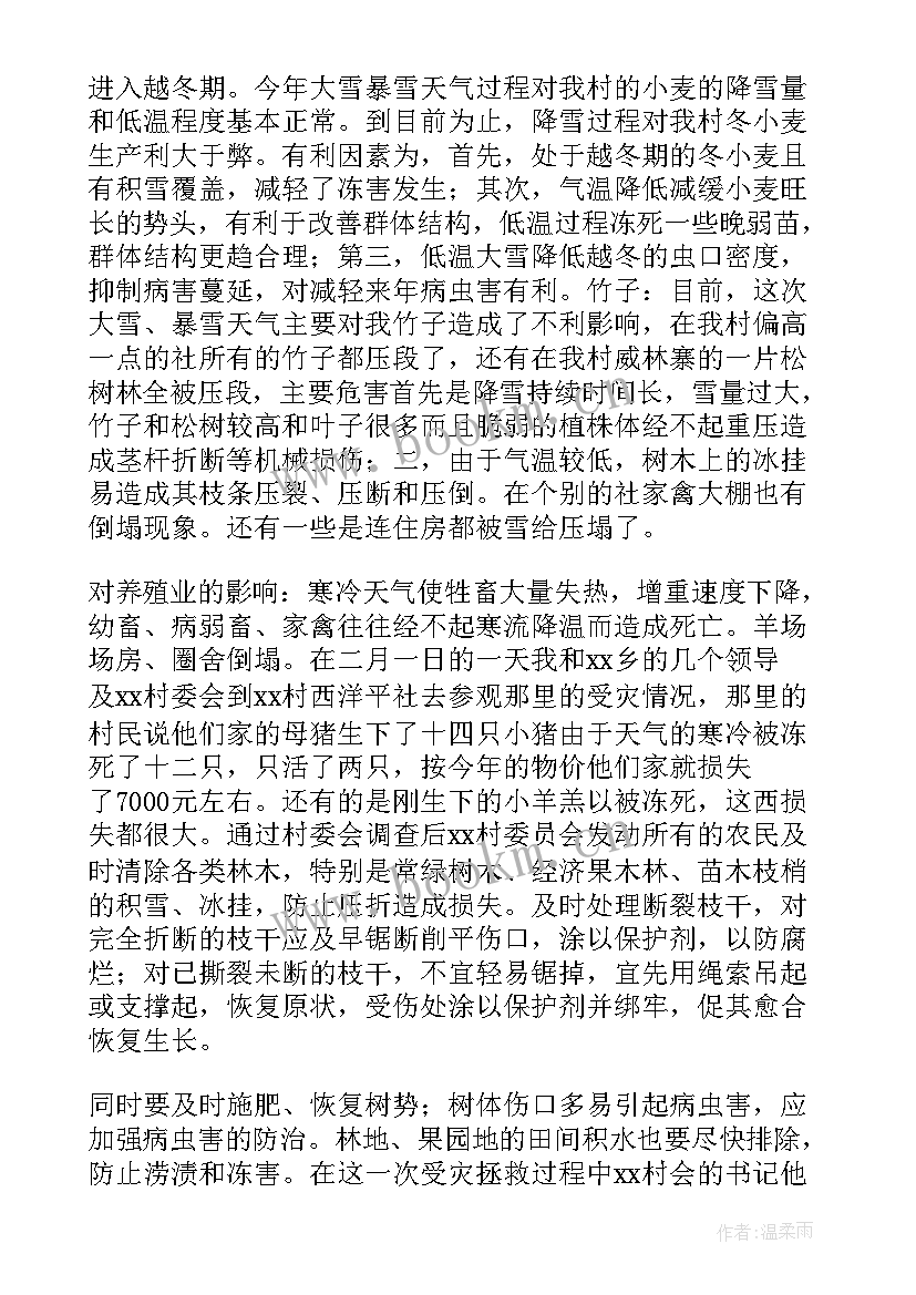 2023年公文报告格式及(精选5篇)