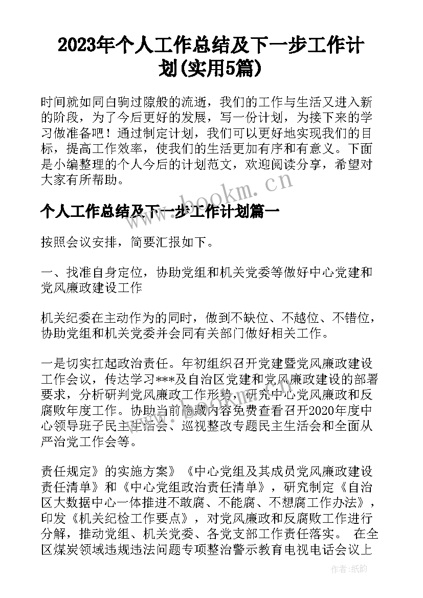 2023年个人工作总结及下一步工作计划(实用5篇)