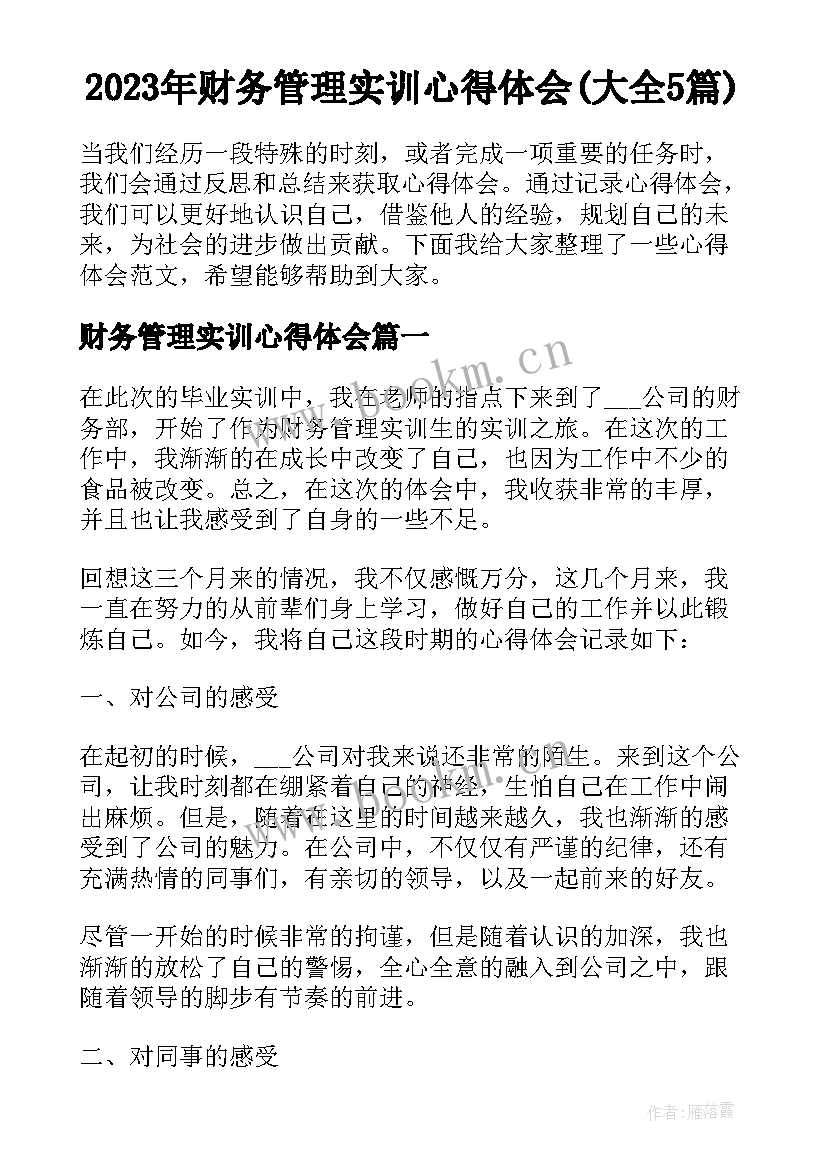 2023年财务管理实训心得体会(大全5篇)