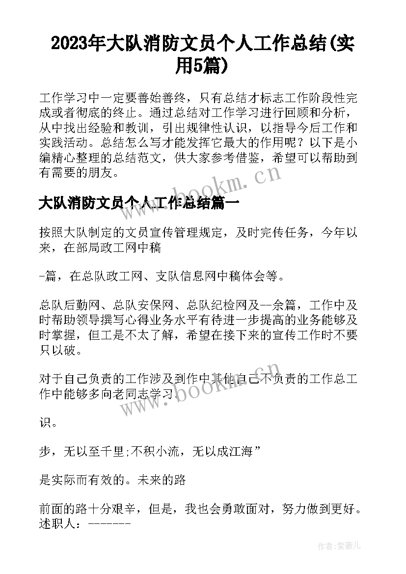 2023年大队消防文员个人工作总结(实用5篇)