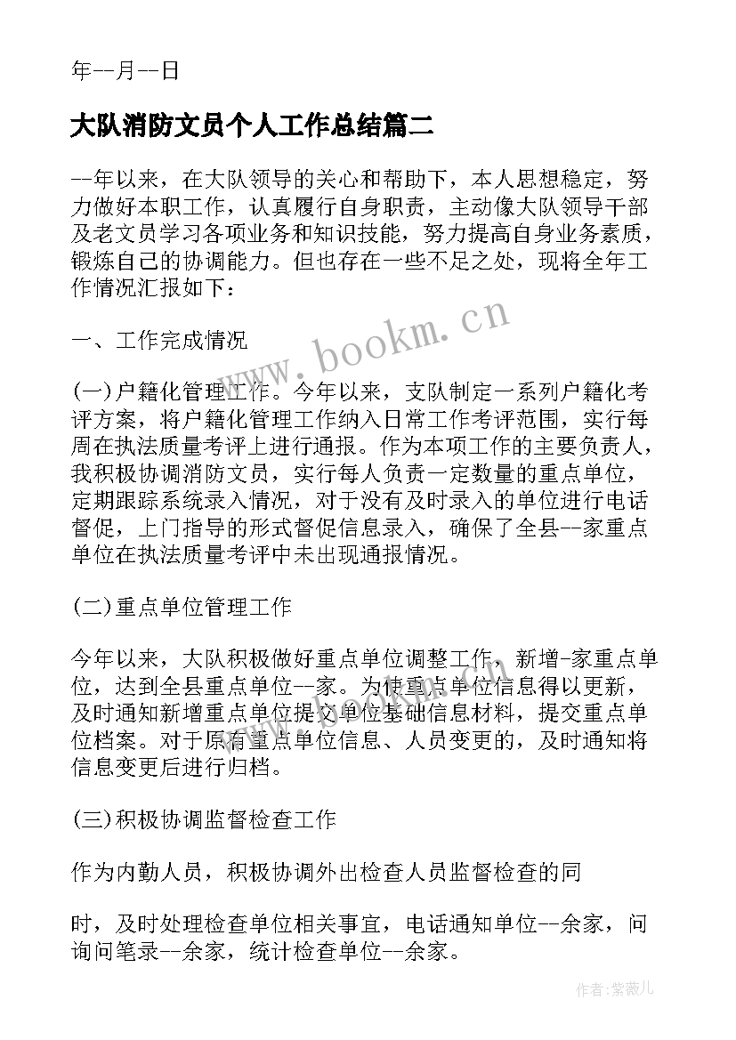 2023年大队消防文员个人工作总结(实用5篇)