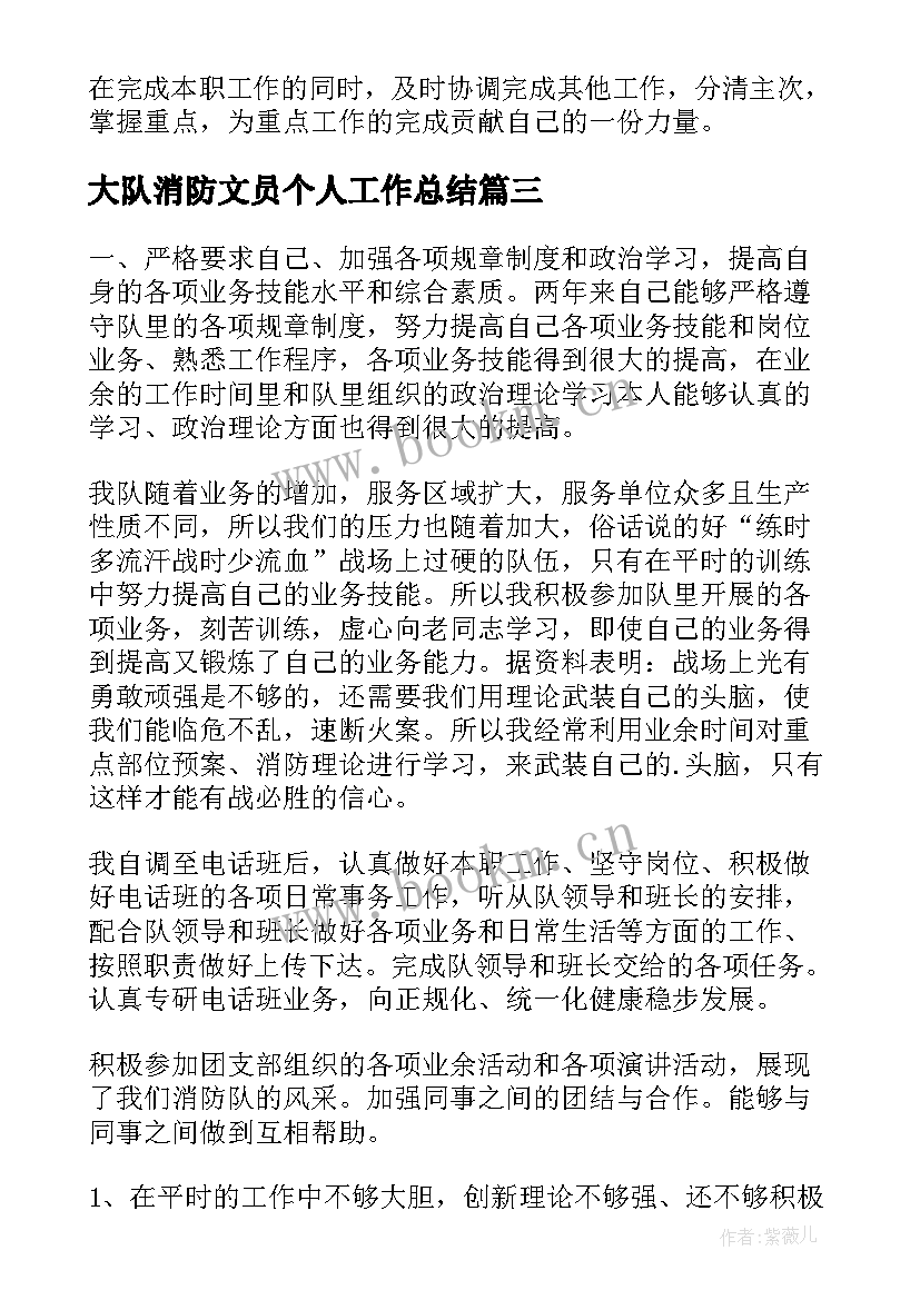 2023年大队消防文员个人工作总结(实用5篇)