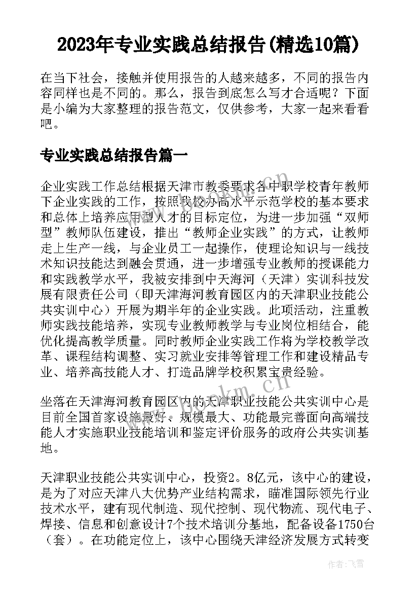 2023年专业实践总结报告(精选10篇)