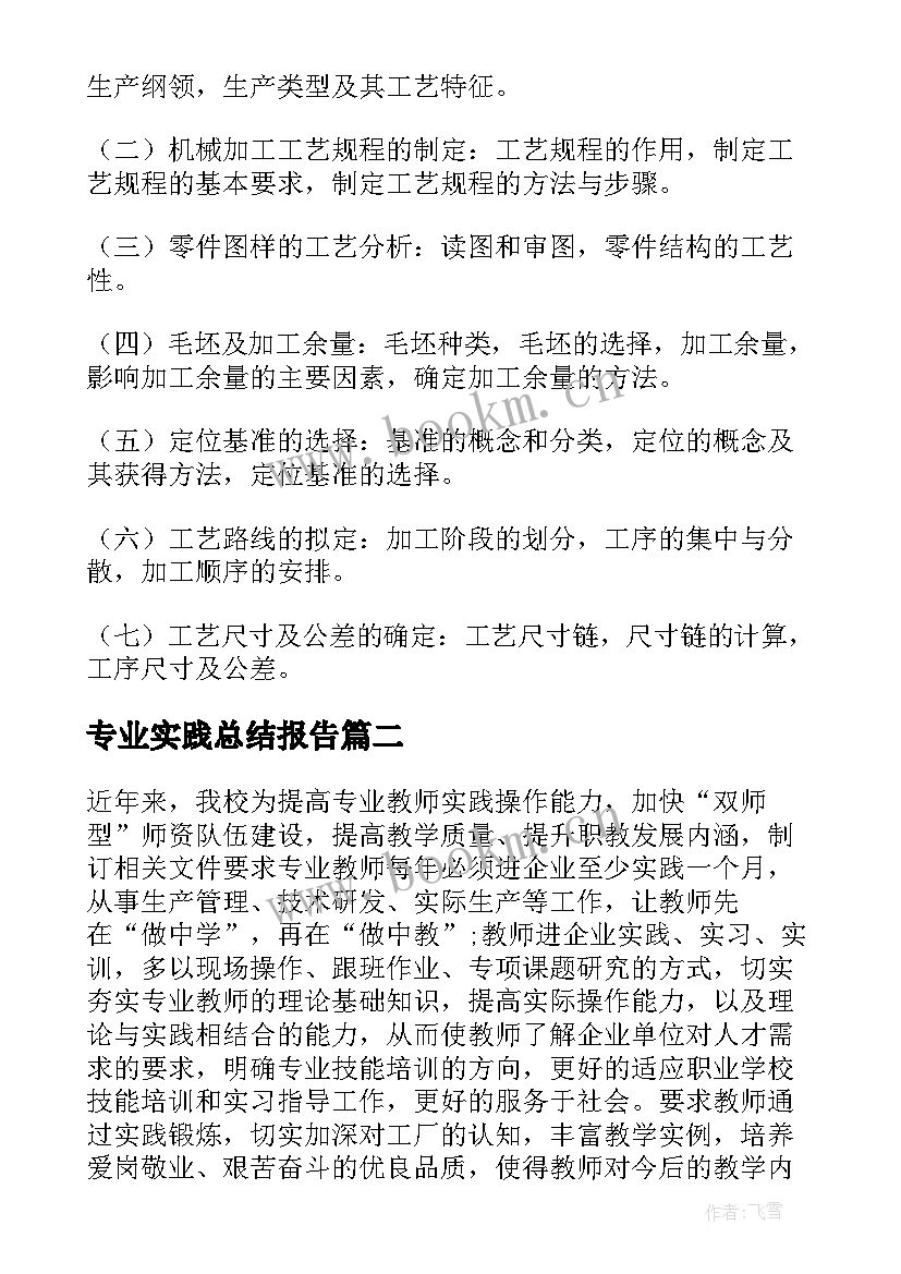 2023年专业实践总结报告(精选10篇)