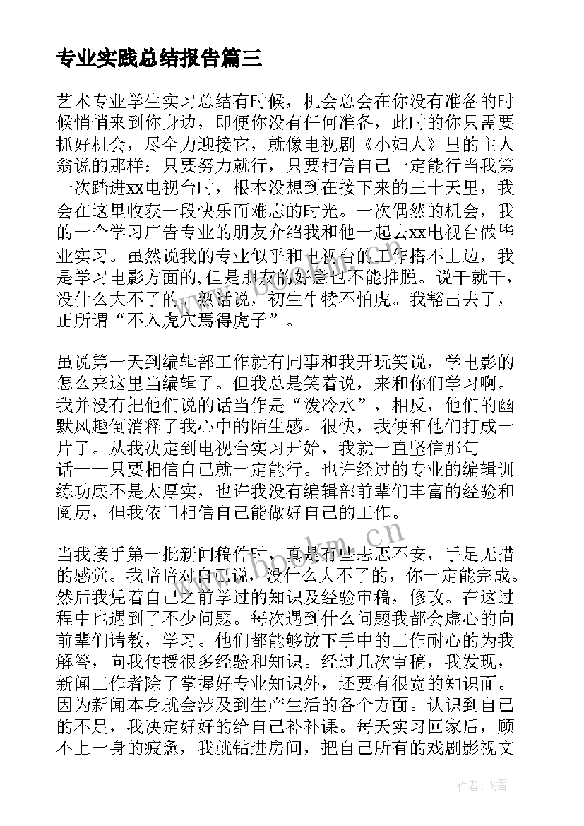 2023年专业实践总结报告(精选10篇)