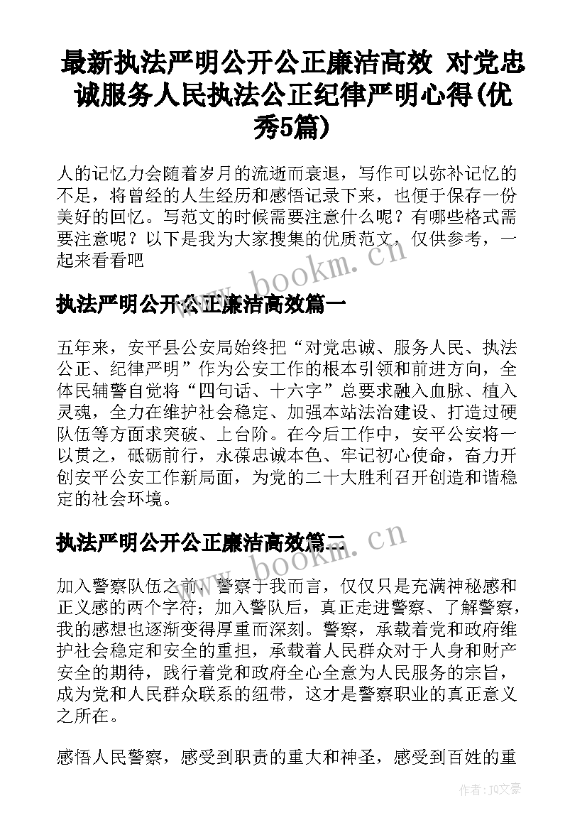 最新执法严明公开公正廉洁高效 对党忠诚服务人民执法公正纪律严明心得(优秀5篇)