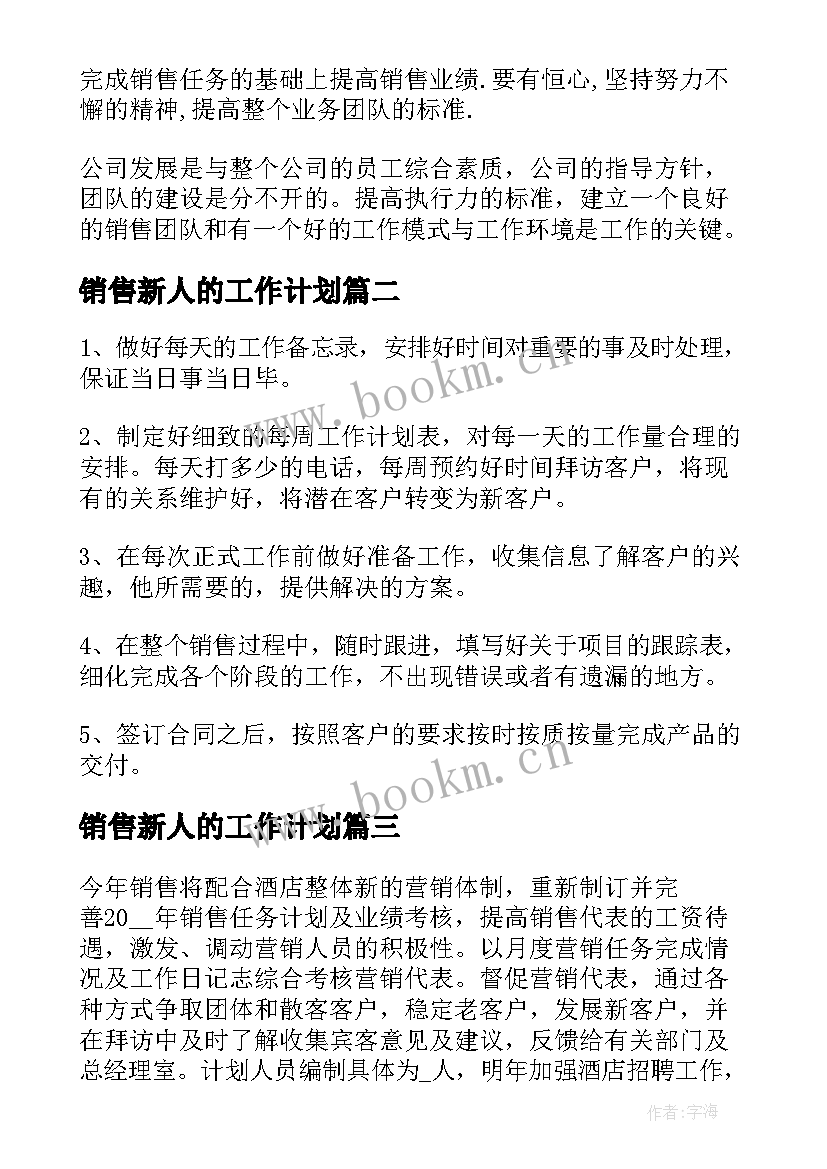 销售新人的工作计划(大全7篇)