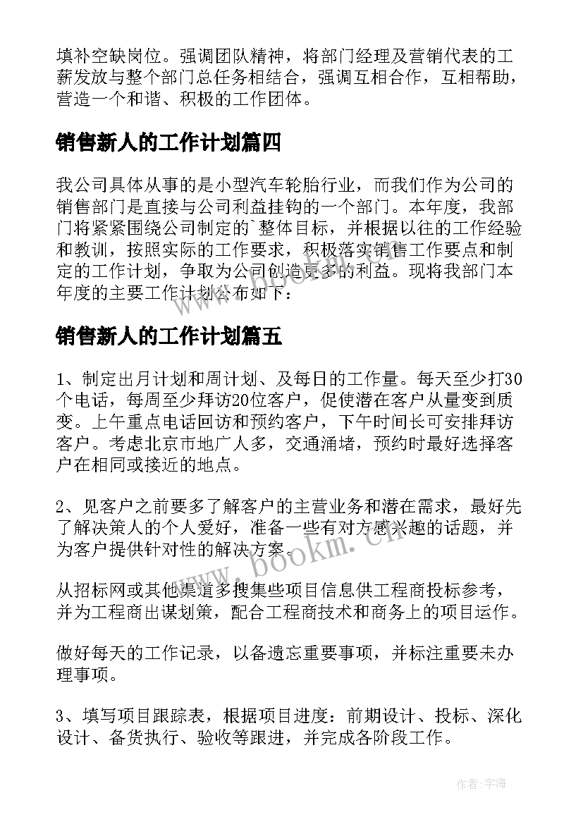 销售新人的工作计划(大全7篇)