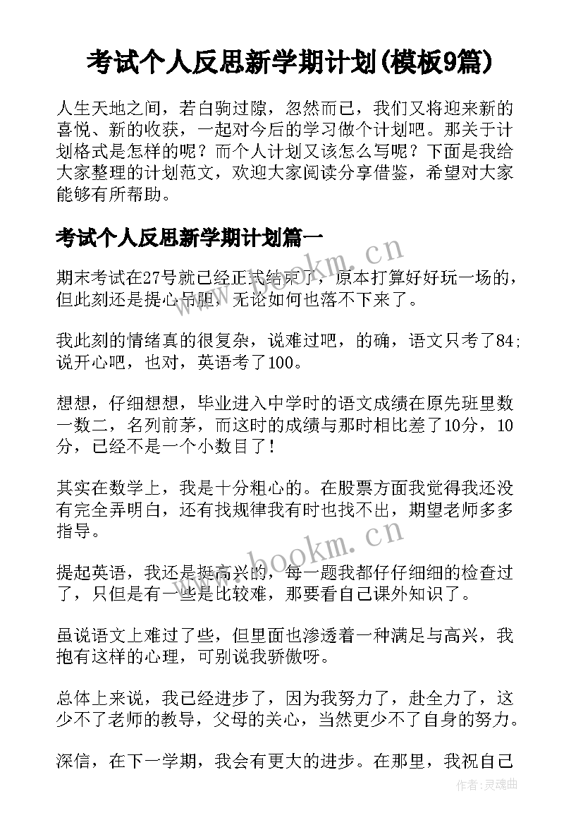 考试个人反思新学期计划(模板9篇)