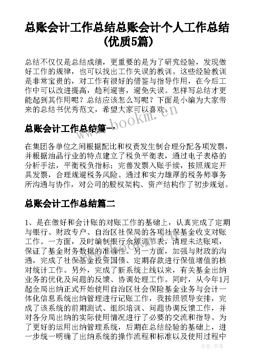 总账会计工作总结 总账会计个人工作总结(优质5篇)