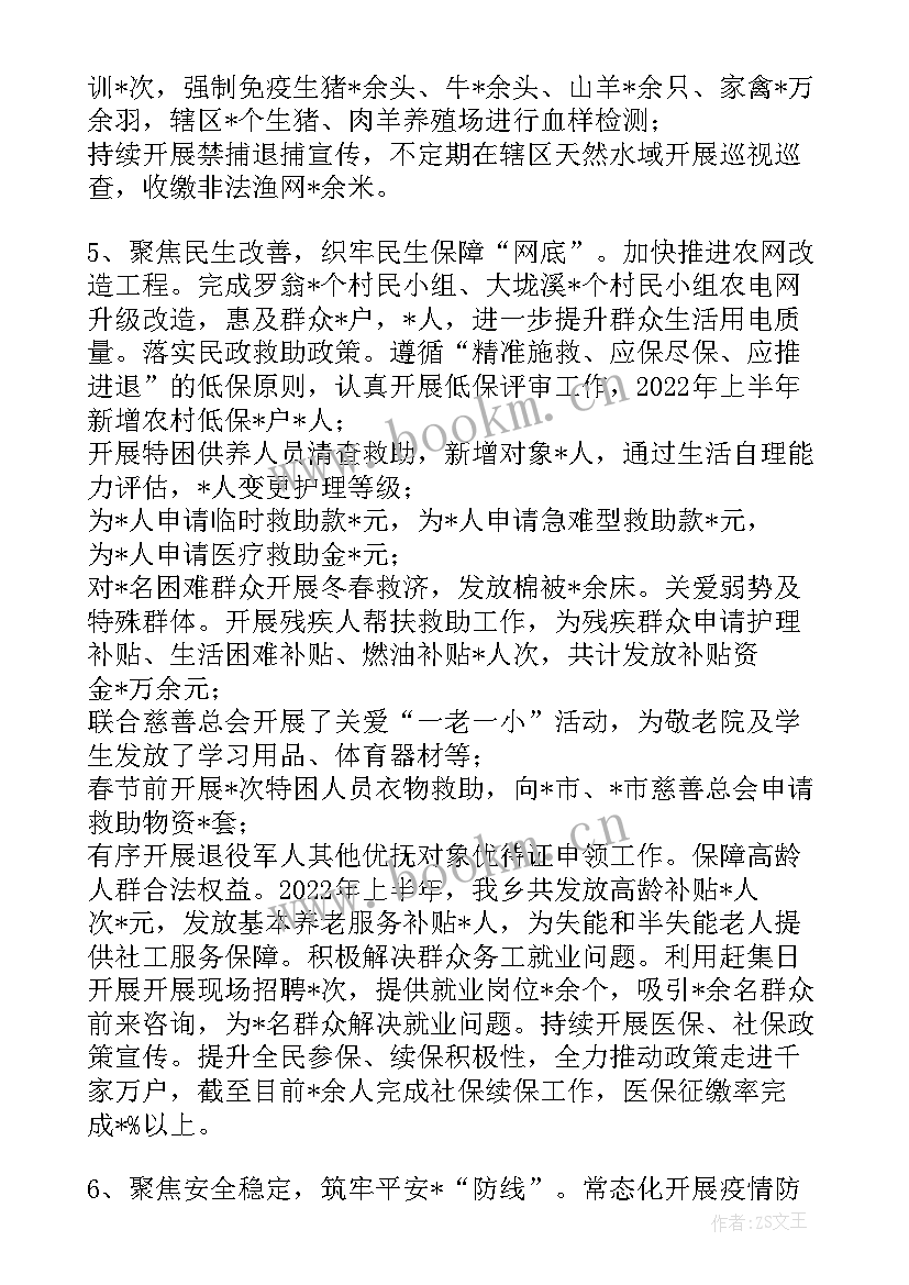 乡镇妇联工作总结及下一步打算 乡镇上半年工作总结及下一步工作打算(实用5篇)