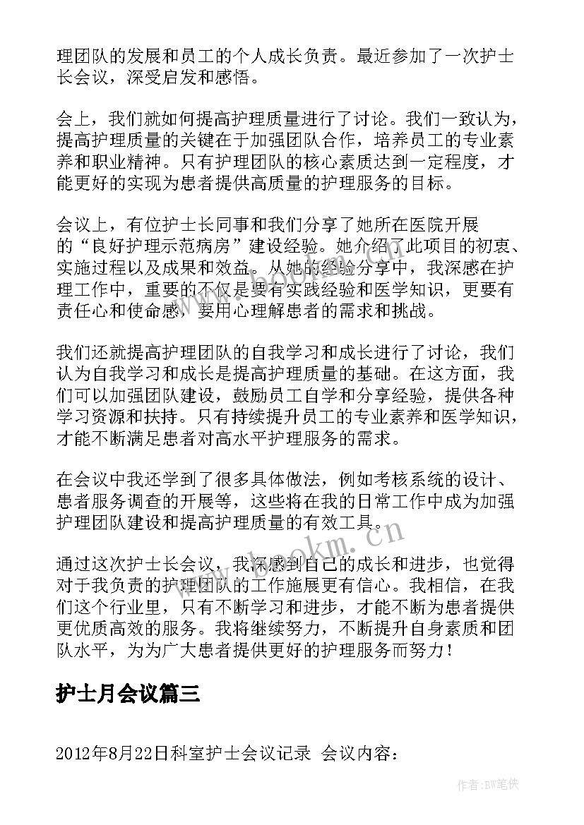 2023年护士月会议(实用5篇)