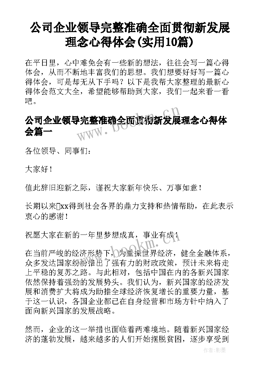 公司企业领导完整准确全面贯彻新发展理念心得体会(实用10篇)