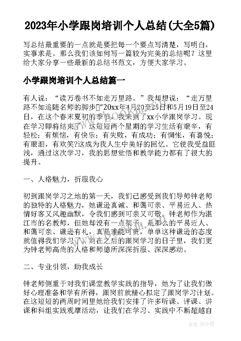 2023年小学跟岗培训个人总结(大全5篇)