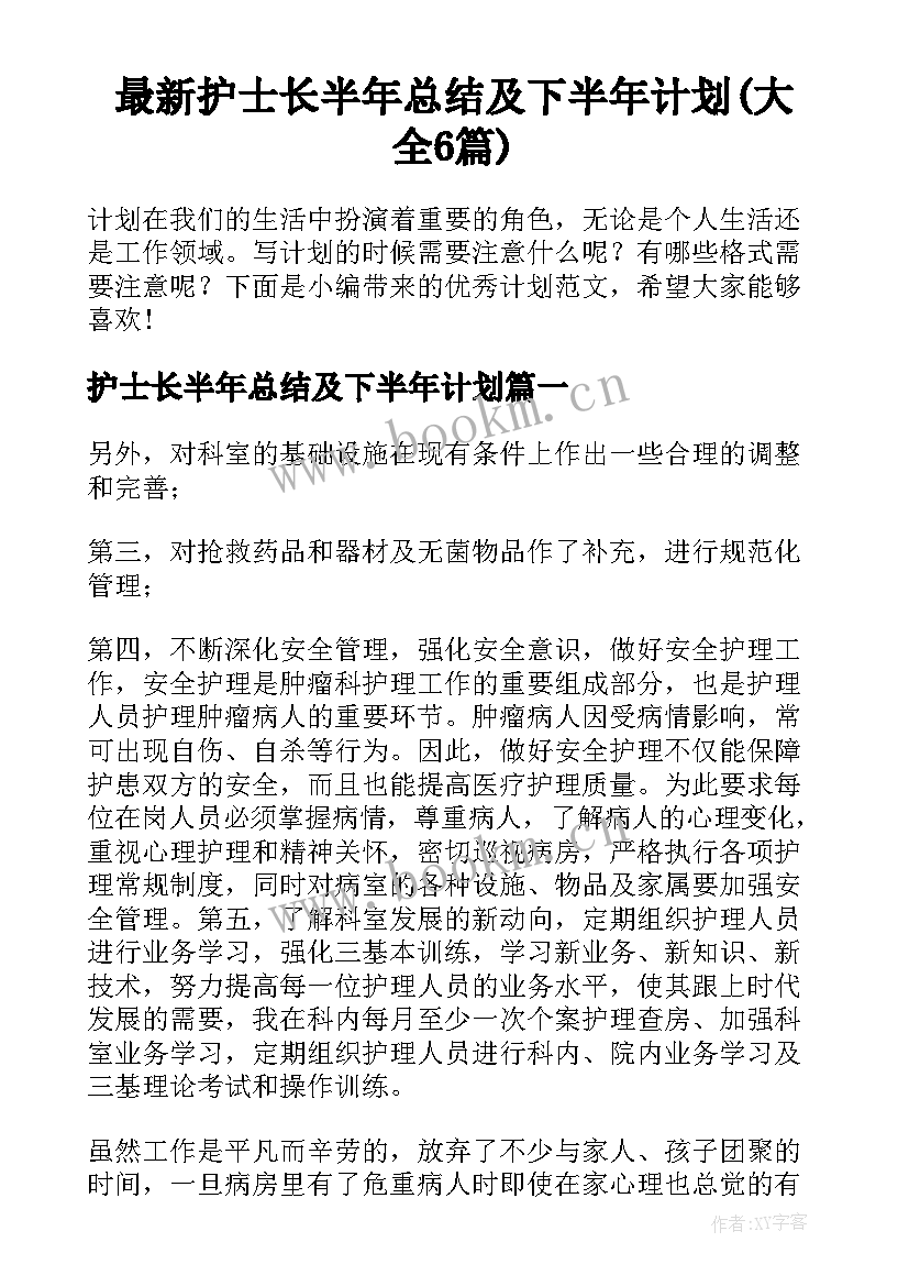 最新护士长半年总结及下半年计划(大全6篇)