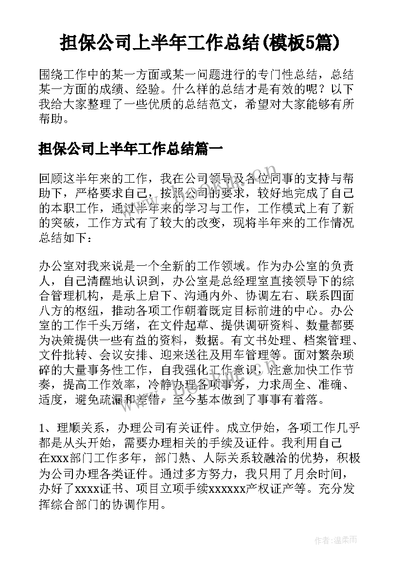 担保公司上半年工作总结(模板5篇)