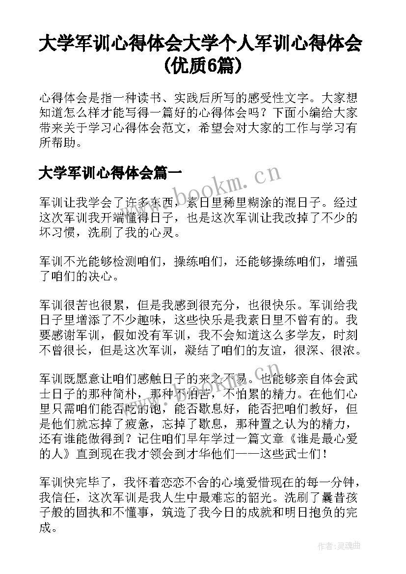 大学军训心得体会 大学个人军训心得体会(优质6篇)