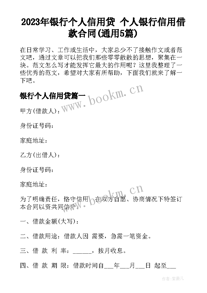 2023年银行个人信用贷 个人银行信用借款合同(通用5篇)