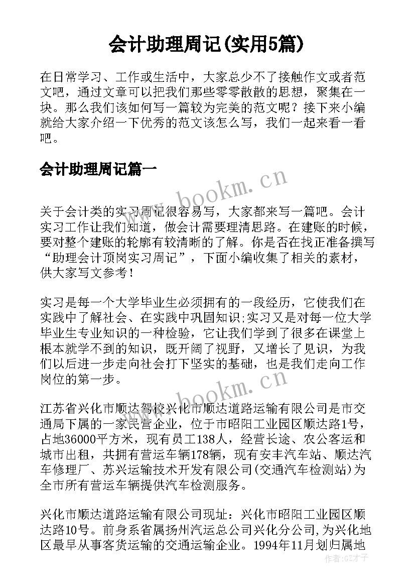 会计助理周记(实用5篇)