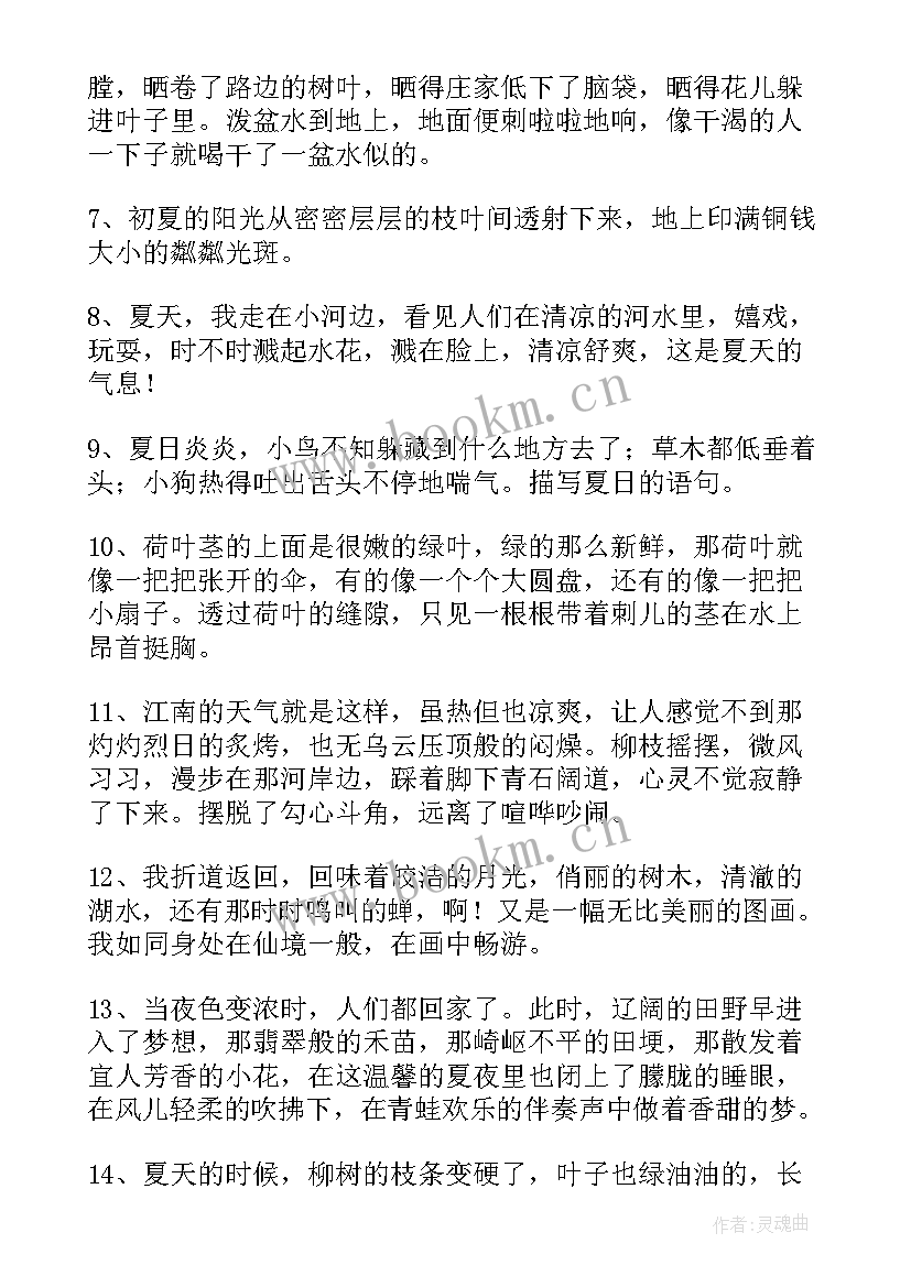 最新夏天的经典感言短句 经典夏天感言(精选5篇)