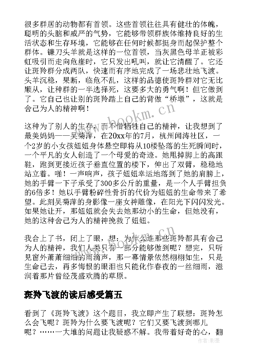 2023年斑羚飞渡的读后感受(大全7篇)