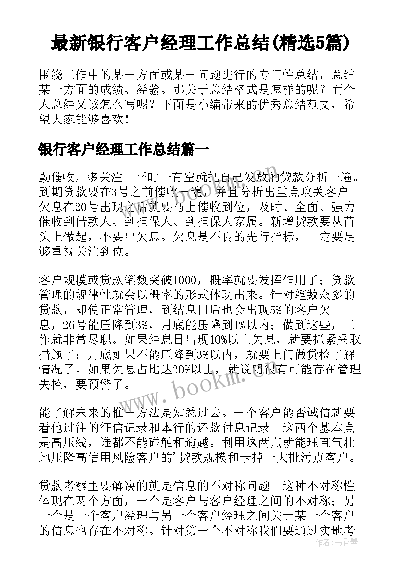 最新银行客户经理工作总结(精选5篇)