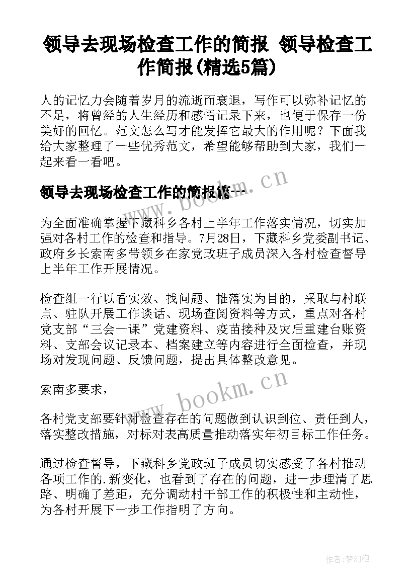 领导去现场检查工作的简报 领导检查工作简报(精选5篇)