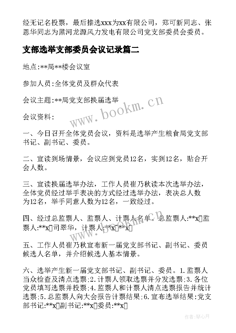 2023年支部选举支部委员会议记录(模板5篇)