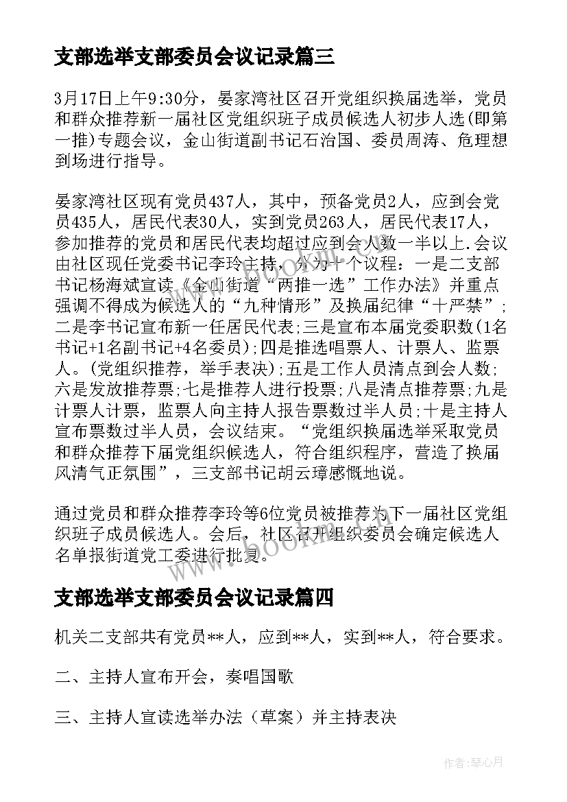 2023年支部选举支部委员会议记录(模板5篇)