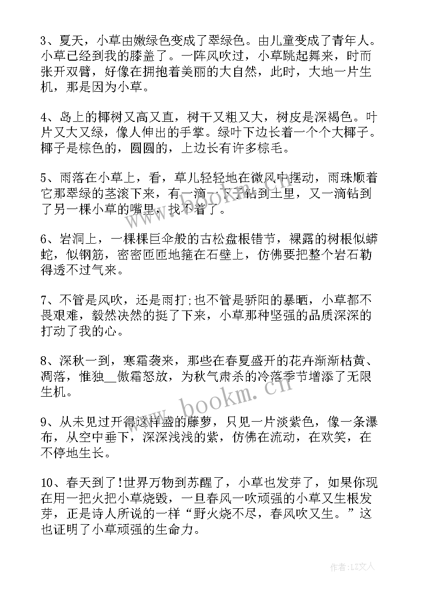 最新花开感悟语(汇总5篇)