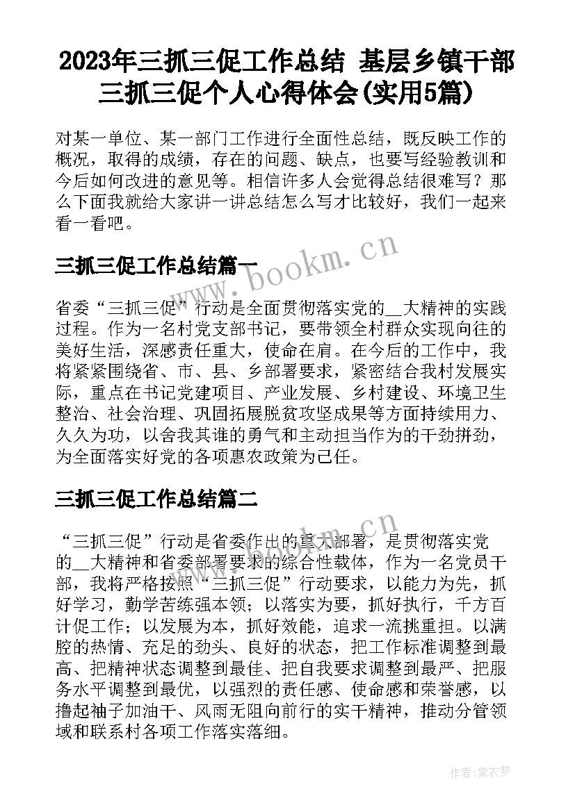 2023年三抓三促工作总结 基层乡镇干部三抓三促个人心得体会(实用5篇)