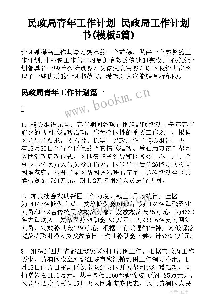 民政局青年工作计划 民政局工作计划书(模板5篇)