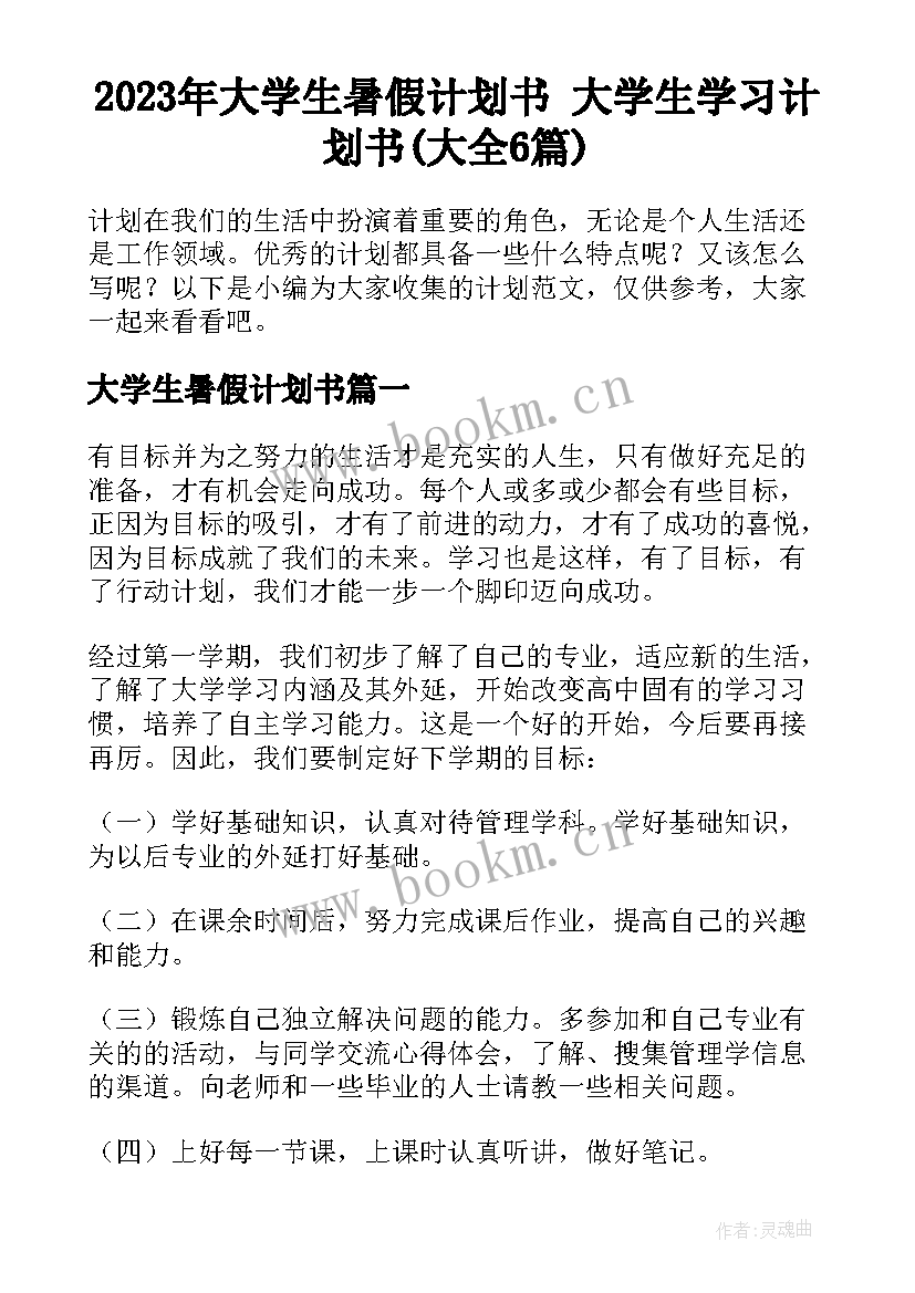 2023年大学生暑假计划书 大学生学习计划书(大全6篇)