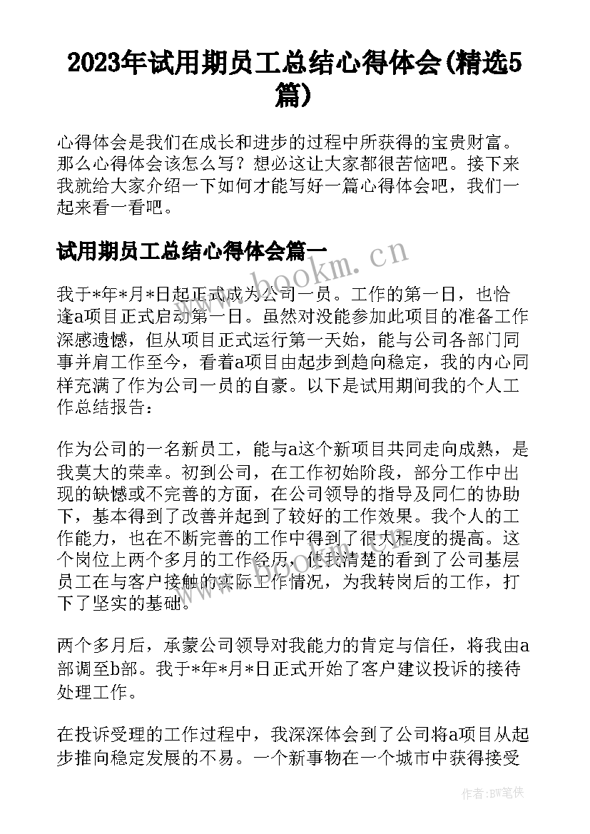 2023年试用期员工总结心得体会(精选5篇)