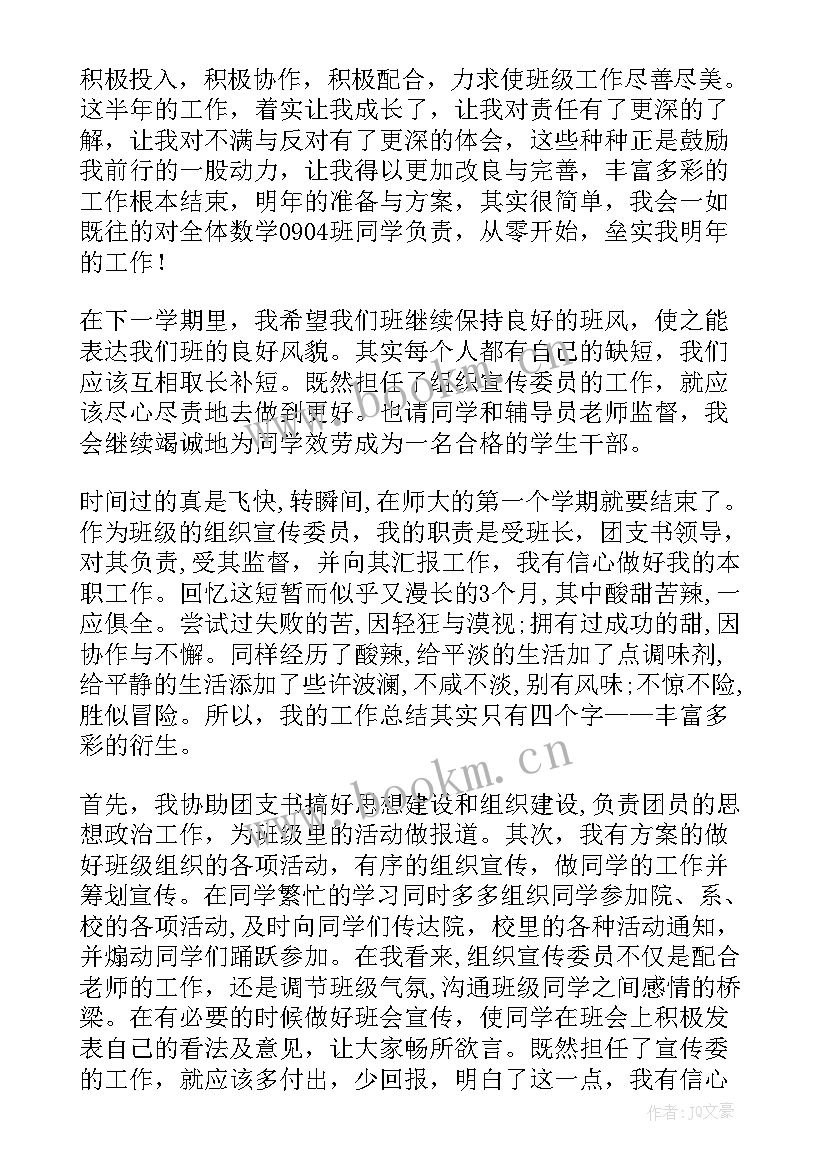 集团宣传委员年度工作总结报告(通用5篇)