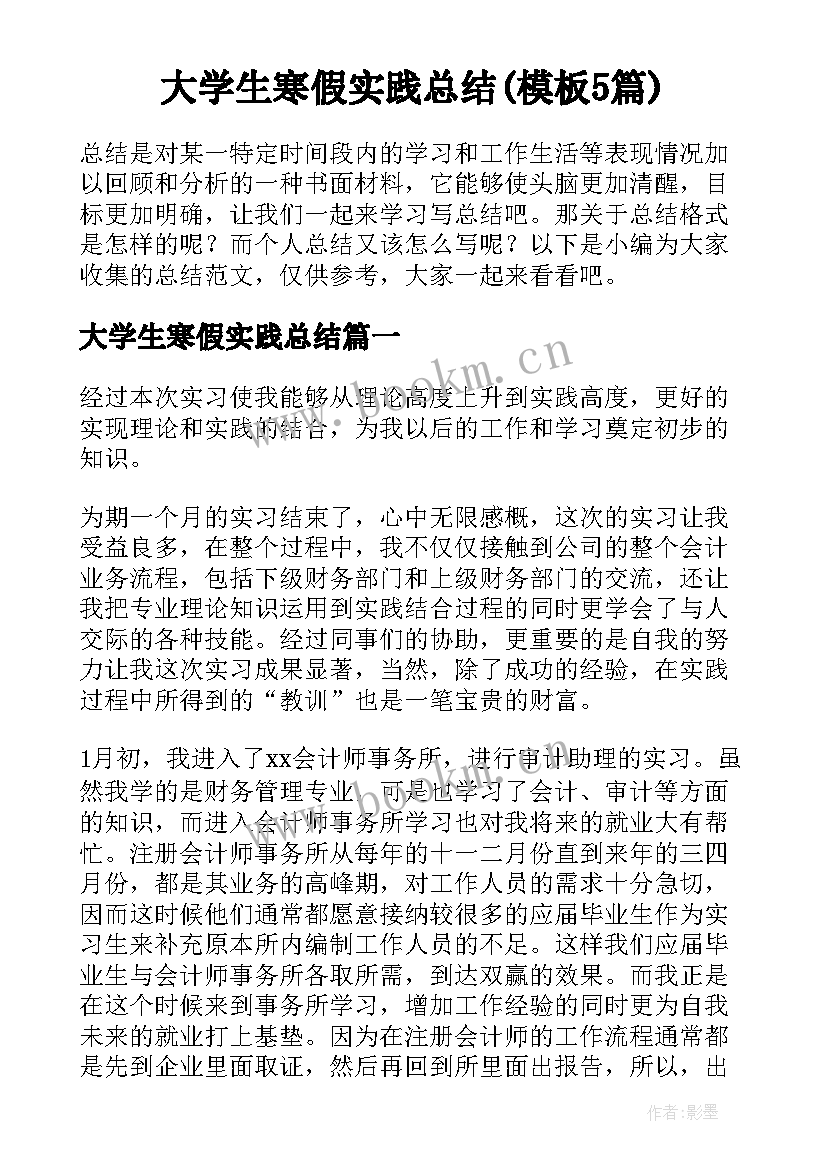 大学生寒假实践总结(模板5篇)