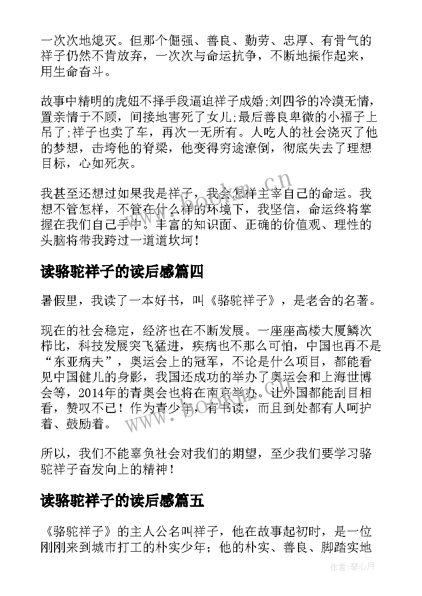 最新读骆驼祥子的读后感(大全9篇)