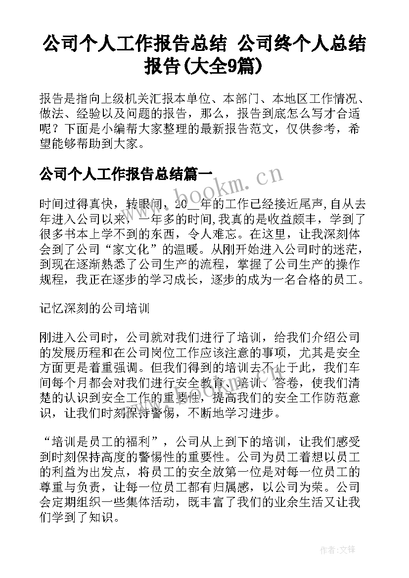 公司个人工作报告总结 公司终个人总结报告(大全9篇)