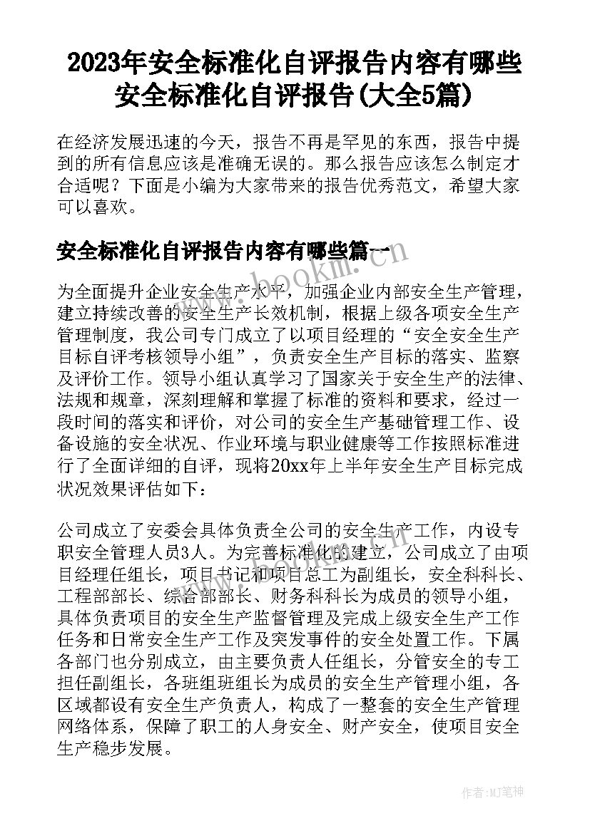 2023年安全标准化自评报告内容有哪些 安全标准化自评报告(大全5篇)