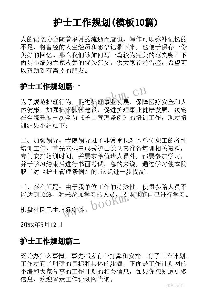 护士工作规划(模板10篇)