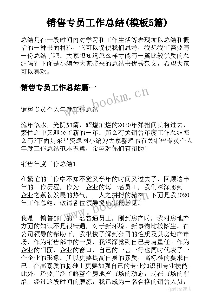 销售专员工作总结(模板5篇)