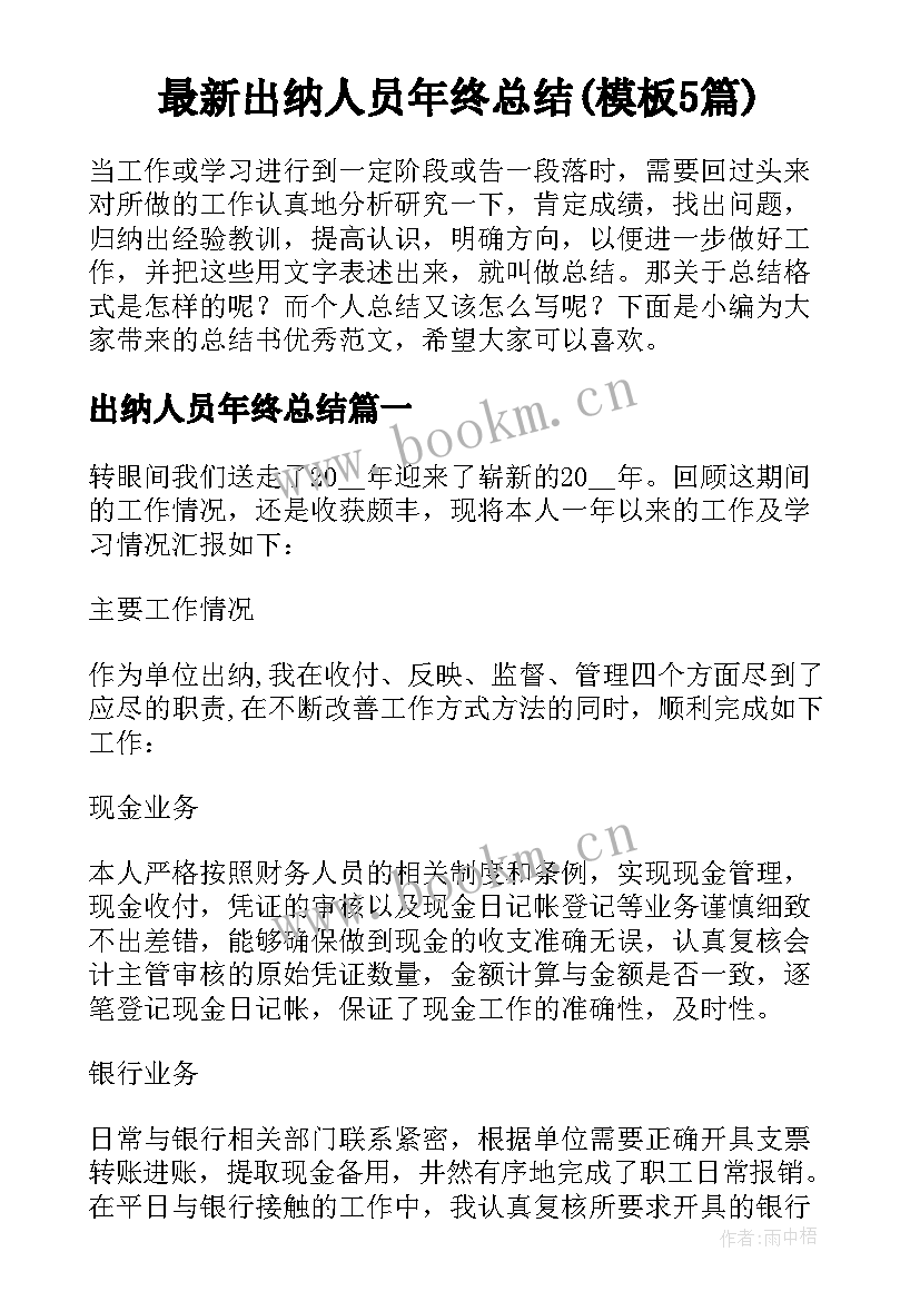 最新出纳人员年终总结(模板5篇)